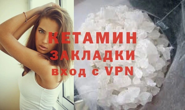 шишки Горняк