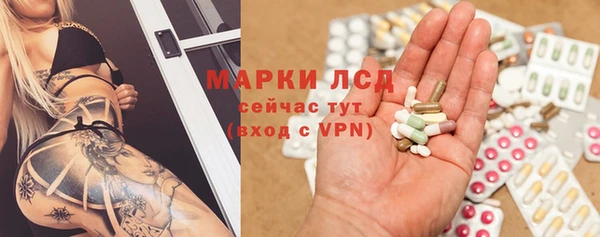 индика Вязники
