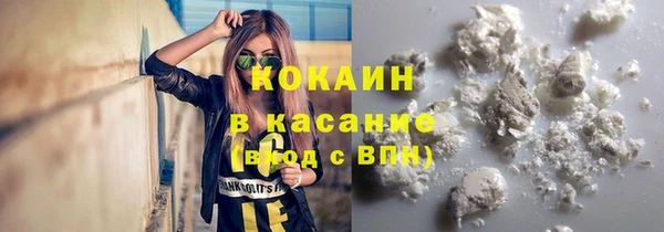кокс Вяземский