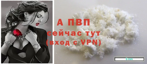 дживик Вязьма