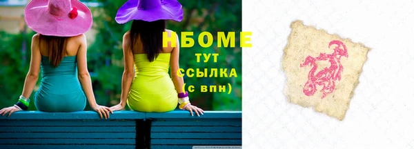 шишки Горняк