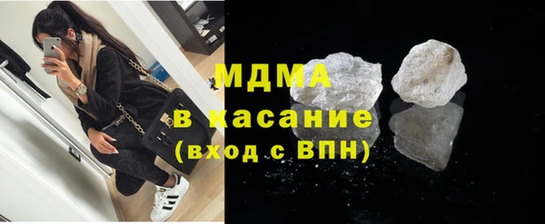 шишки Горняк