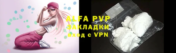 индика Вязники