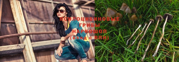 дживик Вязьма