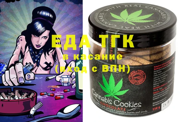шишки Горняк