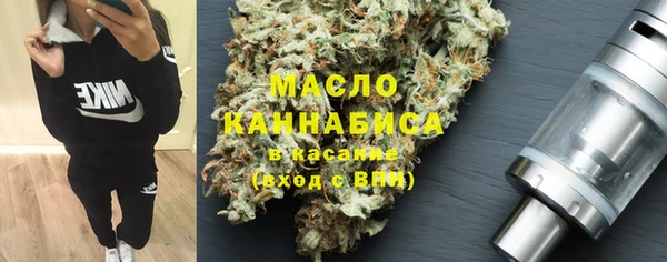 индика Вязники