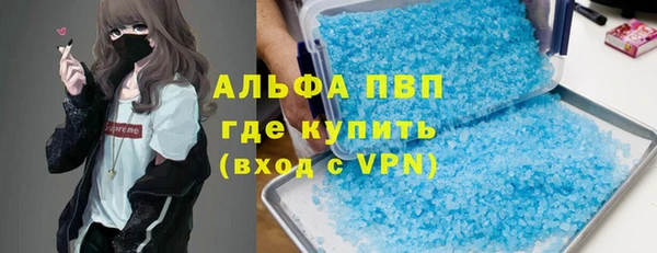 индика Вязники