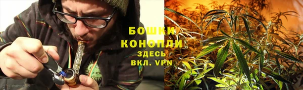 дживик Вязьма