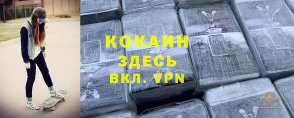индика Вязники