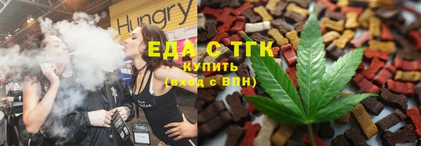 шишки Горняк