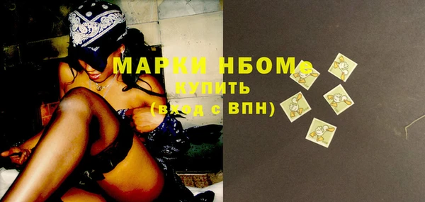 шишки Горняк