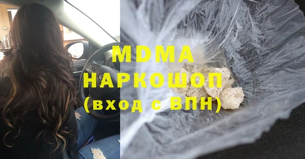 шишки Горняк