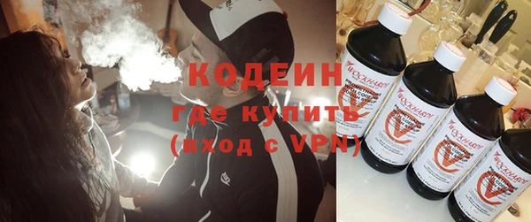 индика Вязники