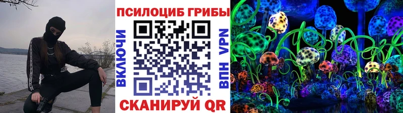 Псилоцибиновые грибы мицелий Заинск