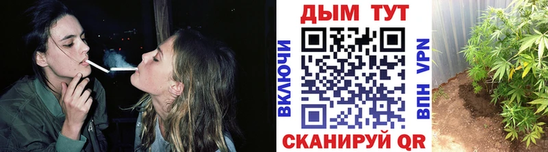 Канабис план  наркота  Заинск 